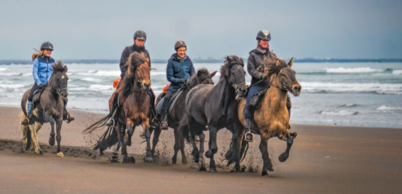 Iceland Horse Riding Tour 